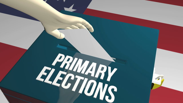 Primary elections ballot