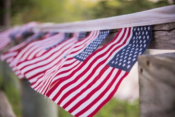 Flags of our country 