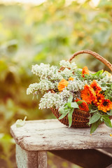 Flowers in a basket in the garden