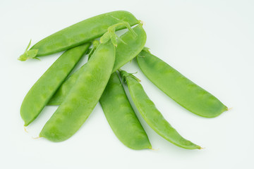 Fresh harvested Snow pea (Pisum sativum var. saccharatum) also known as mangetout organical grown in my garden isolated on white background