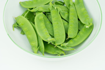 Fresh harvested Snow pea (Pisum sativum var. saccharatum) also known as mangetout organical grown in my garden isolated on white background