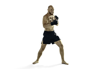 Fototapeta na wymiar professional boxer boxing isolated on white studio background