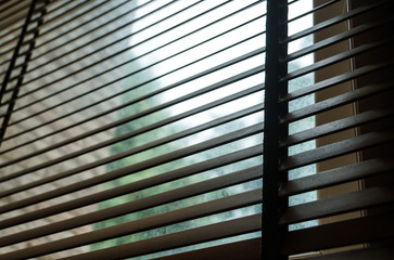 wood blind shade curtain and shadow tree background