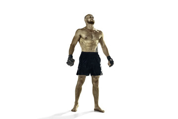 professional boxer boxing isolated on white studio background