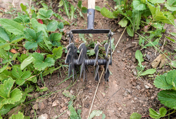 A tool for weeding beds