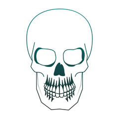 Human skull drawing vector illustration graphic design