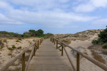 Fototapeta na wymiar Pasarela de madera a traves de las dunas en una playa de Cadiz