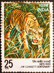 Tiger on indian stamp