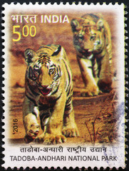 Two tiger cubs on indian postage stamp