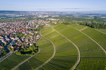 Luftaufnahme über Weinberge im Remstal in Deutschland