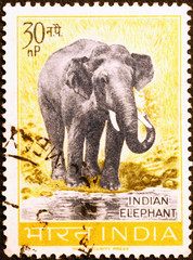 Asian elephant on indian postage stamp