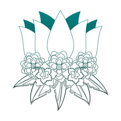 Beautiful flowers isolated vector illustration graphic design