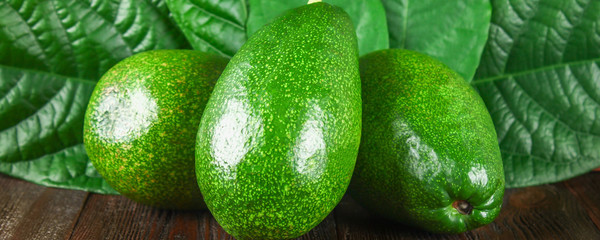 Three green raw ripe avocados with leaves lie on a wooden brown table.