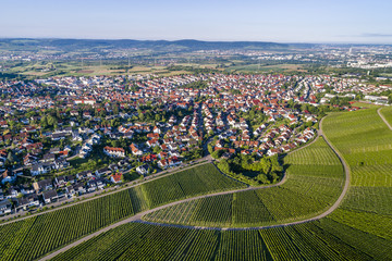 Fototapeta na wymiar Luftaufnahme über Weinberge im Remstal in Deutschland