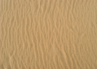 Fototapeta na wymiar Texture. Sandy surface with the ripples formed by wind