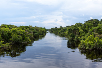 Fototapeta na wymiar Amazonas, Brazil. Affluent river in the Negro River and Amazon rainforest.