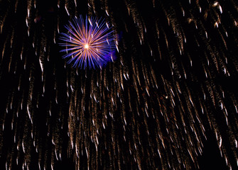 Awesome fireworks, maltese fireworks isolated in dark background, Blue and violet colorful...