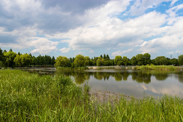 Landscape of Toneri Park in Tokyo / Toneri park is a public park in Tokyo