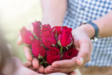 Man hold a fresh red roses offer to the women, girlfriend for a gift of valentins flower surprise. Man submit the red roses flower asking for marriage. Birthday flower surprise.