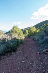The desert of the palms under the blue sky