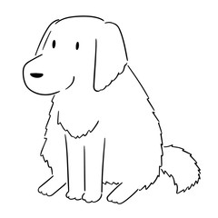 vector of dog, golden retriever