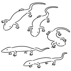 Naklejka premium vector set of lizards