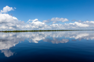 Amazonas, Brazil - River bank in the Amazon rainforest with dark waters of Negro river reflecting blue sky and clouds and forest in the background on a sunny day.