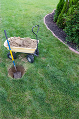 Obraz na płótnie Canvas Gardening concept digging a hole for a new tree