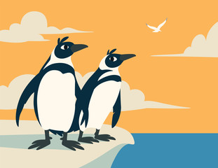 Cute penguins. Family of arctic birds look into the distance against the sky with clouds and seagull. Colorful vector illustration of two penguins in flat cartoon style on antarctic sunrise seascape.