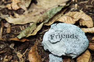 Broken Friendship 3
