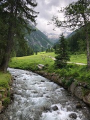 fiume di montagna natura cime innevate 