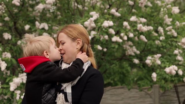 The emotional young woman holds her young son in the arms against the blossoming spring trees. Mom kisses her son in the park in the spring.