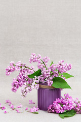 Small bouquet of lilac in ceramic vase. Branches of blooming pink lilac close up with copy space.