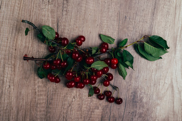 summer gifts. a fresh branch of a cherry tree with green leaves and red fruits, cherries lying on a wooden table, on a wooden background. Protect the environment. proper nutrition.place for text