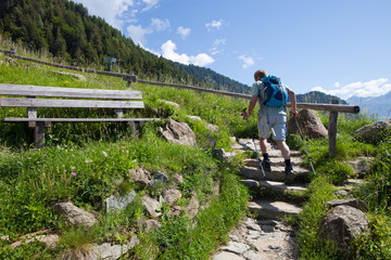 Wanderweg in den Alpen