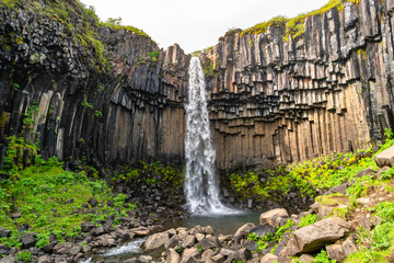 Wonderful and high Svartifoss waterfall with black basalt columns on South Iceland