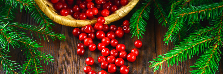 Naklejka na ściany i meble Cowberry, foxberry, cranberry, lingonberry sips from the basket on a brown wooden table. Surrounded by fir branches. banner