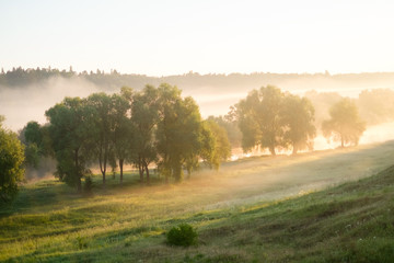 Туман на траве и реке, в деревьях в лучах восходящего солнца на рассвете. Лучи солнца на траве. © skorovik