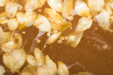 The initial stage of fermentation of craft beer with petals of hop on the surface. Craft beer...