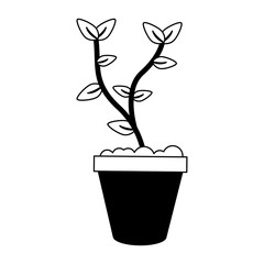 Plant in pot vector illustration graphic design