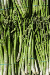 Fresh green asparagus background