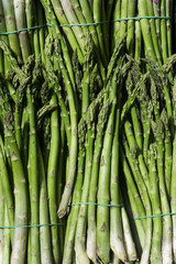 Fototapeta premium Fresh green asparagus background