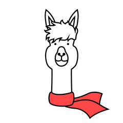 Alpaca portrait wearing a red scarf