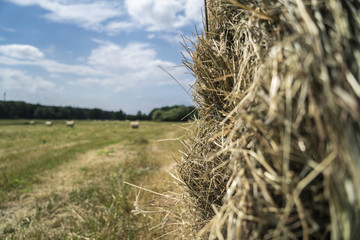 Strohrollen auf dem Feld mit Wald und Wiese im Hintergrund