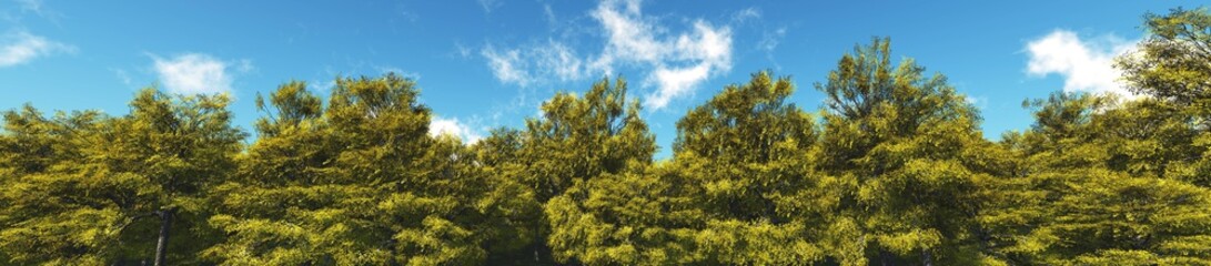 Fototapeta na wymiar Lemon Grove. Panorama of trees against the sky with clouds. 3D rendering