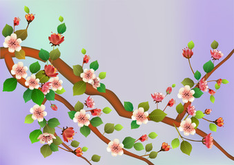 Spring. All wakes up, flowers sakura blossom .