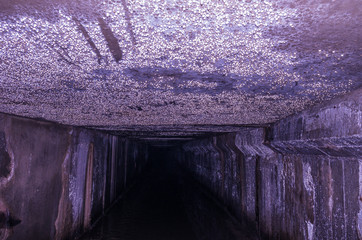 A lot of drops on the ceiling. Underground stars.