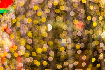 bokeh - Decorative outdoor string lights hanging on tree in the garden at night time - decorative christmas lights - happy new year 