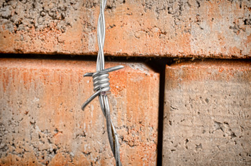 The wall, an immigration concept