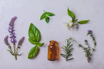 Different types of fresh herbs   for alternative medicine and aromatherapy on white background, top view